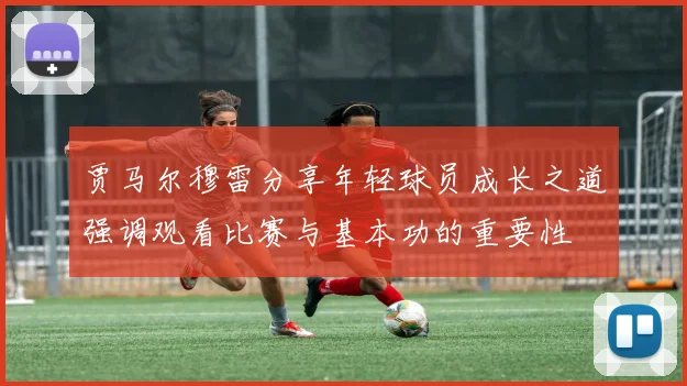 贾马尔穆雷分享年轻球员成长之道强调观看比赛与基本功的重要性